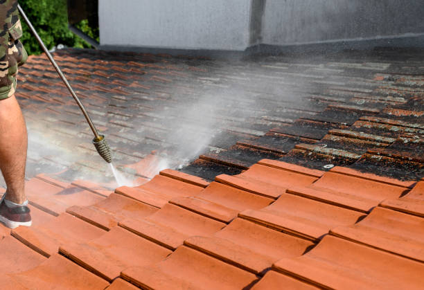 Best Pressure Washing Company Near Me  in Hopkinsville, KY
